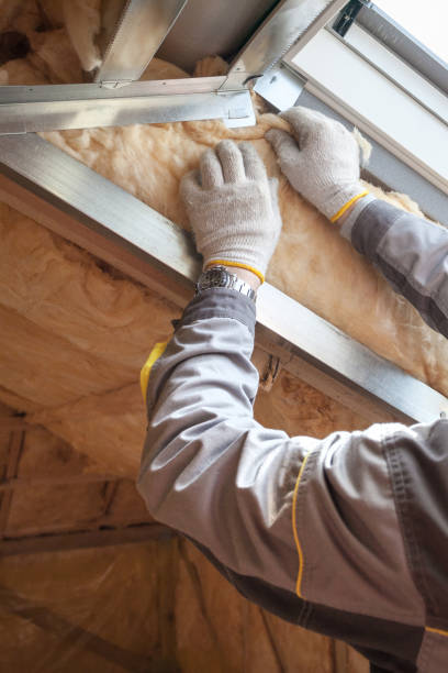 Best Insulation Removal  in Floral Park, NY